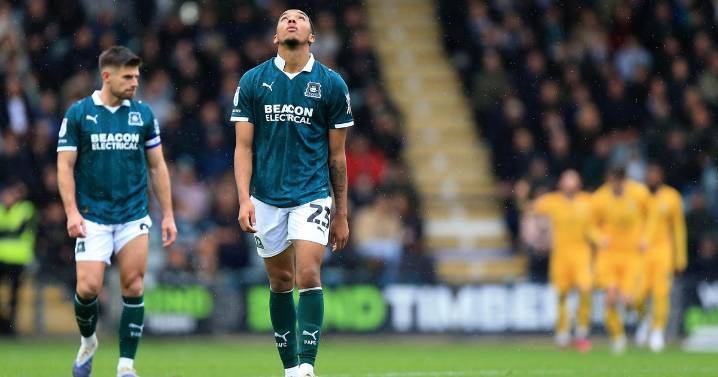 Plymouth Argyle player ratings as AFC Wimbledon fight back for win