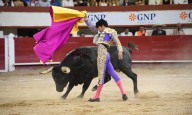 Supremo de México estudia un amparo de un pueblo contra las corridas de toros ‘sin sangre’