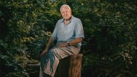David Attenborough Becomes Oldest Daytime Emmys Winner Ever at 99
