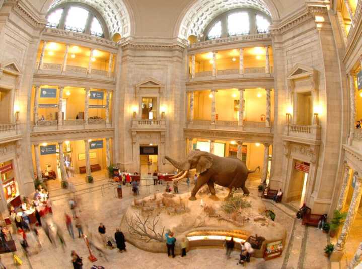 Cierre federal frena el arte y la cultura