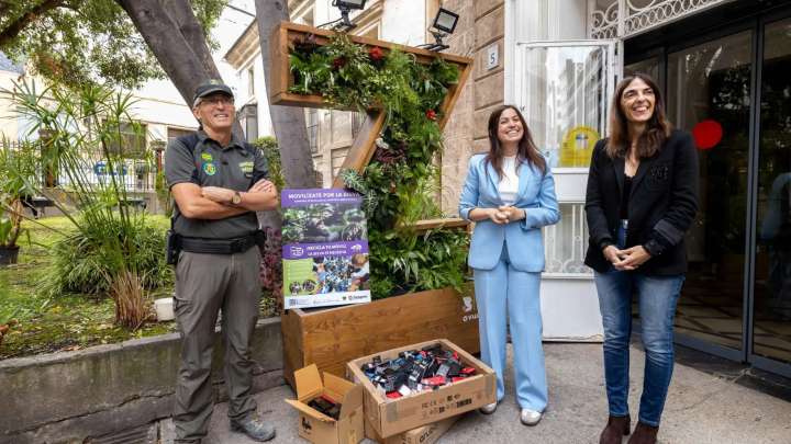 Curiosa iniciativa en Zaragoza: apadrinar chimpancés a cambio de móviles viejos