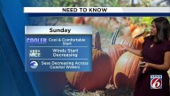 Cold front brings fall weather to Central Florida