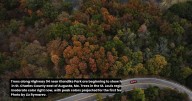 View life in St. Louis the week of Oct. 19, 2025