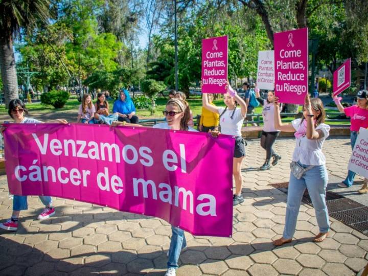 Jornada de prevención en Frutillar: alimentación y hábitos saludables pueden evitar el riesgo de cán...