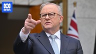 Prime Minister Anthony Albanese calls for political temperature to be 'turned down' after alleged death threat