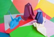 Linux vendors are getting into Ubuntu – and Snap • The Register