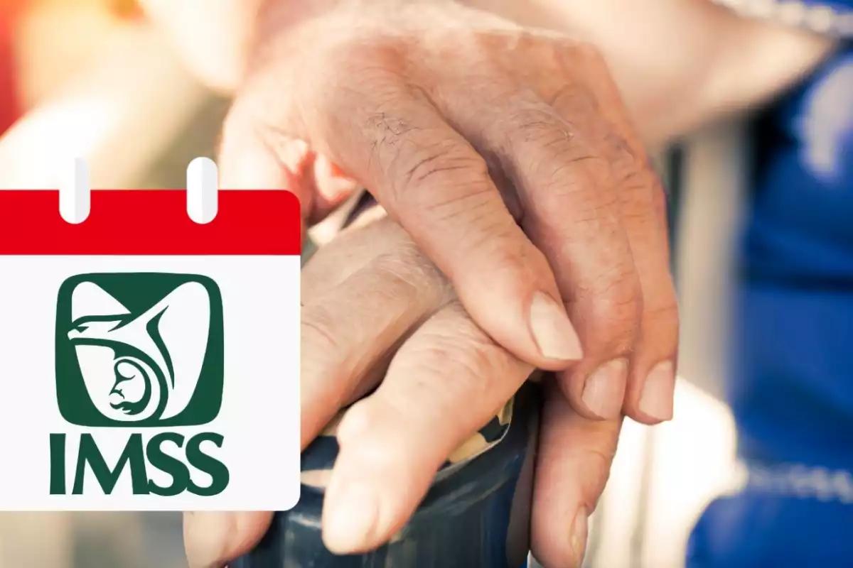 Pago de pensiones IMSS e ISSSTE octubre 2025: fechas confirmadas para jubilados