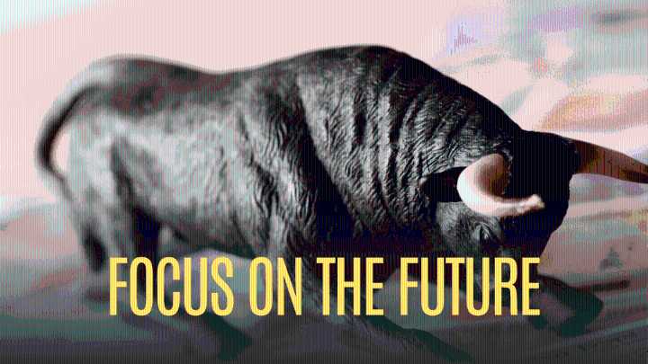 Lenskart IPO opens today: GMP surges amid anchor investment storm; check key details