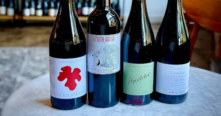 Four red wines for the transition to fall