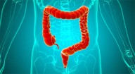 Gut microbiome may hold key to treating depression and anxiety, says groundbreaking study