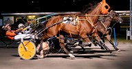 Summer Slash wins in a fantastic finish at Batavia Downs