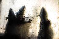 Chicago Loses Its ‘Rattiest City’ Crown