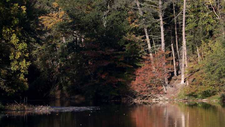 Sun, rain expected in mid-Hudson Valley this weekend. Here's when