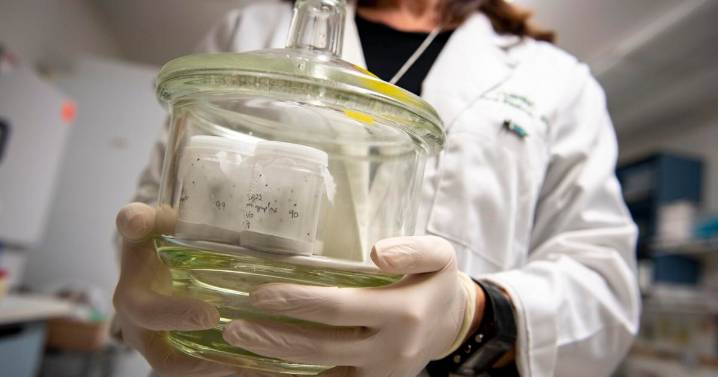 Here's the history of Tulane primate research center in the spotlight after Mississippi crash