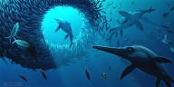 “Dragón de la Espada de Dorset”: cómo el hallazgo de una especie de 190 millones de años puede cambiar la historia evolutiva marina