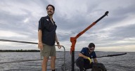Deep in the Glades, this farm grows ‘artisanal oysters.’ Can they revive an industry?