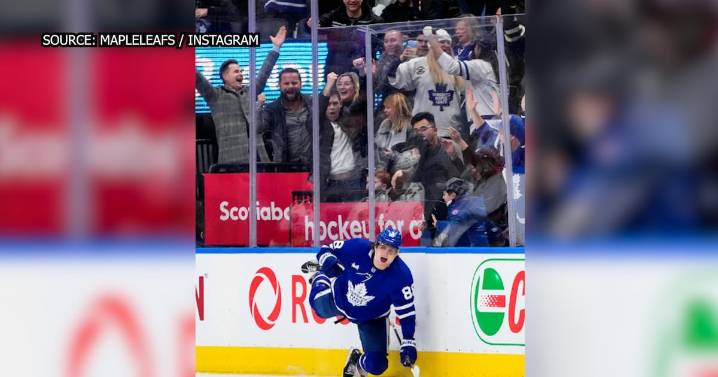 Ontario minister attended Leafs game, wedding with those seeking grants from Skills Development Fund: reports