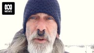 Donald Day Jr, US conspiracy theorist connected to Wieambilla killers, formally enters plea deal