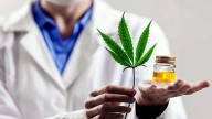 Salta ya tiene su registro de cannabis medicinal ¿Quiénes pueden acceder?