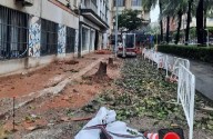 Compromís critica que Carrasco continue talant arbres: "Confon la jardineria amb la sostenibilitat"