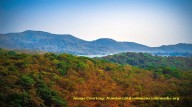 Citizens Raise Alarm on Draft Master Plan Threatening Sanjay Gandhi National Park