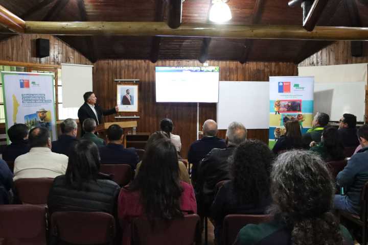 Catastro de CONAF refleja importante cobertura de bosques en territorio maulino