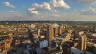 Birmingham City Council holds town hall to address issue of stray animals