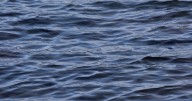 19-year-old drowns in Northeast Ohio lake