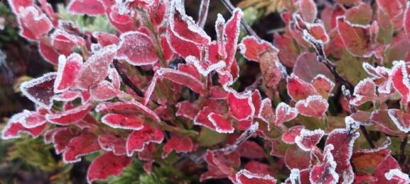 La Póveda de Soria amanece con -3,0ºC este sábado
