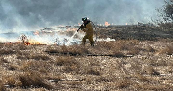 Buscan prevenir fuegos forestales