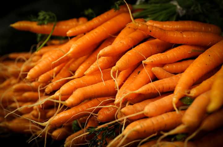 Federal Food Assistance at Risk as Government Shutdown Continues