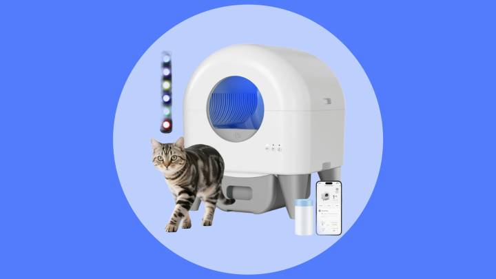 This self-cleaning cat litter box is less than $200 at Walmart