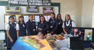 Chincha: alumnas de la I. E. Santa Ana se alistan para la fase provincial de la Fencyt