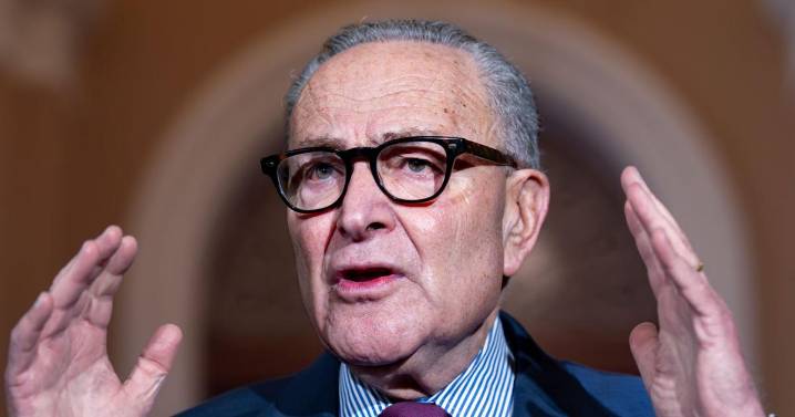 GOP turns Schumer print quotes into AI-generated video of him saying shutdown good for Democrats