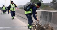 Realizarán tareas de mantenimiento en Av. General Savio