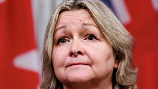 Ontario auditor general to release four special reports, including on child care, pollution reduction