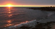 Fuels reduction, weather advisories, and new restaurant opens in Pismo Beach