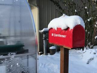 Get It Growing: Protecting plants from winter weather