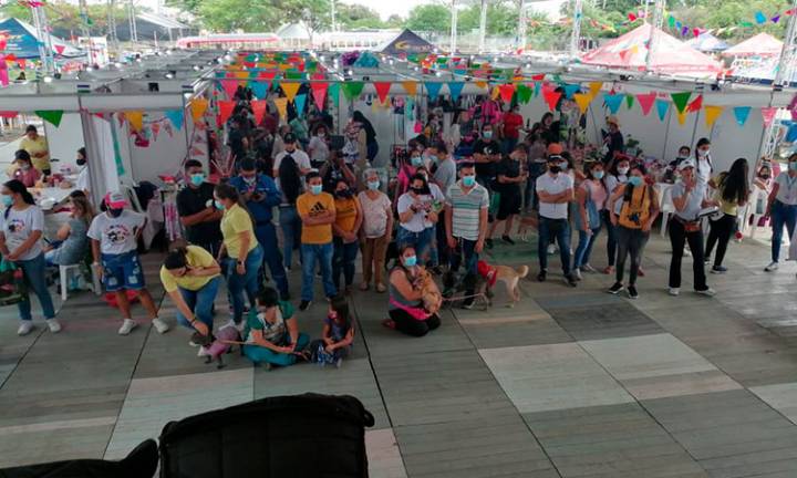 Animaltón Cali 2025: solidaridad, arte y conciencia