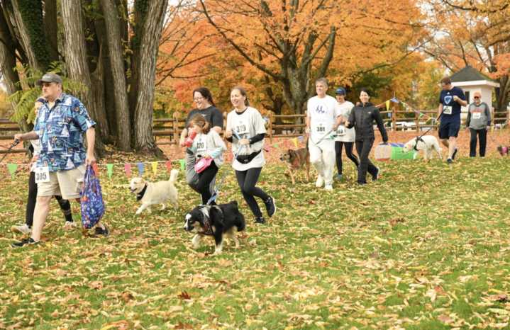 Baltimore Fishbowl | The Heads & Tails 5K Doggie Dash is a treat fur everyone -
