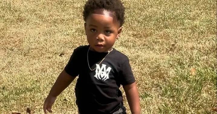 'My two-year-old son was mauled to death by dogs while nursery worker slept'
