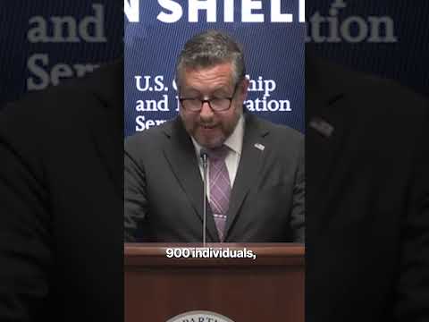 DHS investigation Operation Twin Shield Uncovers 50% of MN Immigrants Committed Fraud #shorts