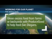 Glean excess food from farms or backyards with ProduceGood