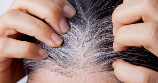 Cómo teñir las canas en casa de manera natural y sin químicos: la mezcla casera para cubrirlas en pocas horas y de inmediato