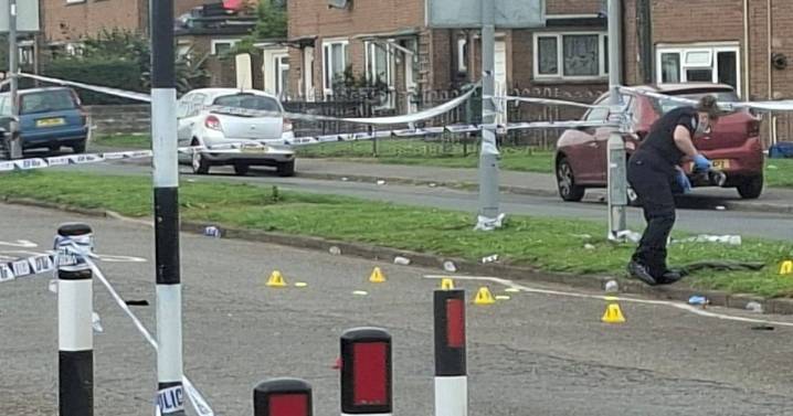 Cardiff woman dies weeks after being hit by car as 18