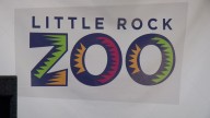 Little Rock Zoo hosting round two of Howl