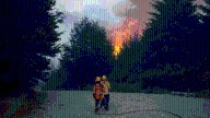 Ocho meses después, sobreseyeron a jóvenes que habían sido imputados por causar un incendio cerca de El Bolsón