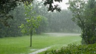 The Stormwater Solution You Should Double-Check The Legality Of In Your Area
