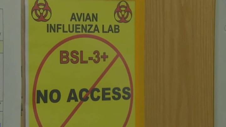 Bird flu causes Sonoma County farm to euthanize 57,000 ducks