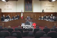 Corte aplica artículo de la reforma a la Ley de Amparo que avala modificaciones a juicios iniciados